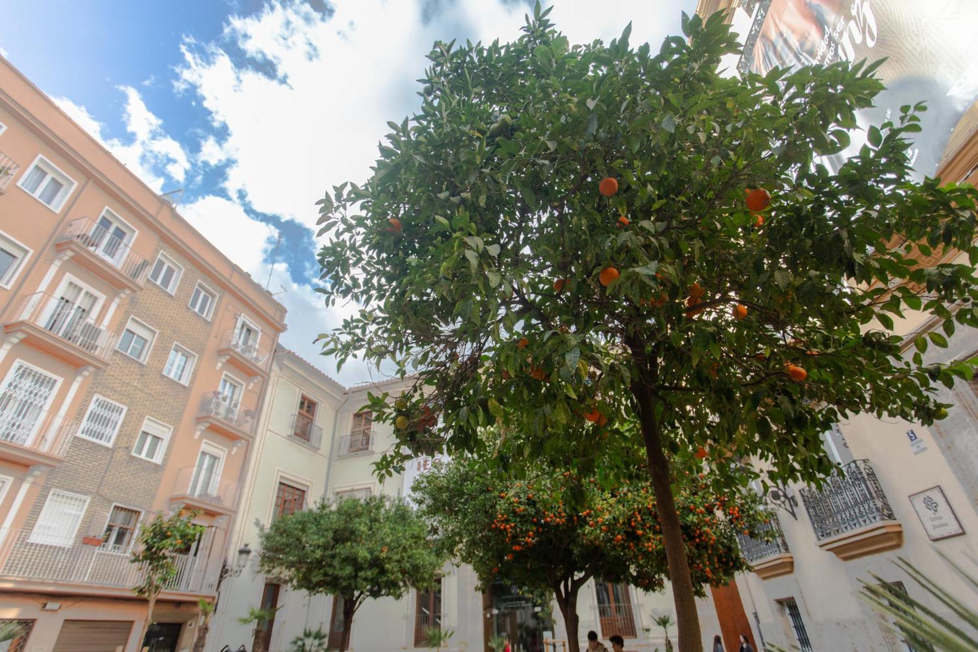 Vlc - Tranquilo Apartamento En Plaza Cisneros Valencia Luaran gambar